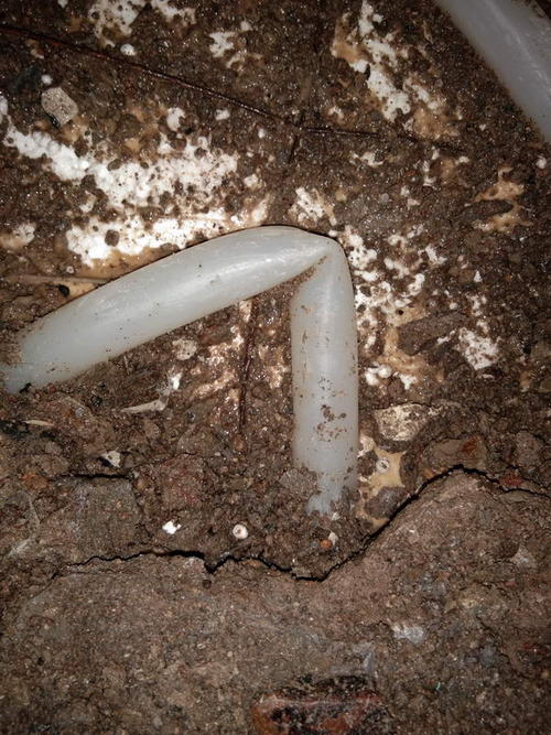 泗县堵点精准查找